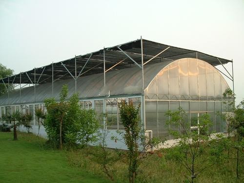 Vegetable Single Span Greenhouse , Gothic Arch Greenhouse Low Thermal Conductivity