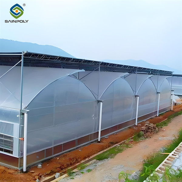 Serre gothique polyvalente pour l'agriculture