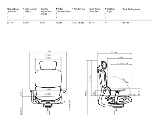 H2 Ergonomic Office Chair with 4.0 Dual-Back Design for Dynamic Spinal Support and Multiple Size Options