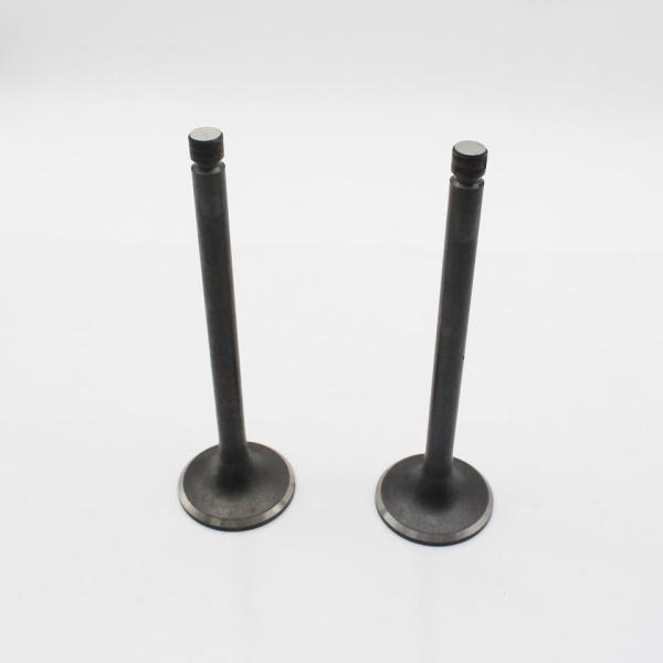 Вытыхание входа клапана двигателя дизеля ME065587 ME091559 для Мицубиси 8DC11 8DC9