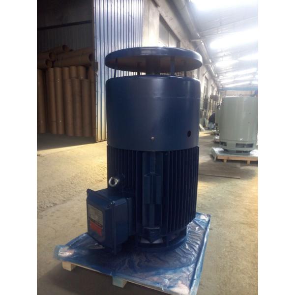 NEMA Vertical Hollow Shaft Motor IP54 380V 660V 3 Phase 50HZ 1450rpm 75kw VHS Motor