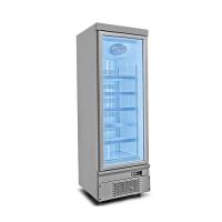 Réducteur d'énergie 1 2 3 Porte vitrée congélateur avec porte arrière automatique rapide