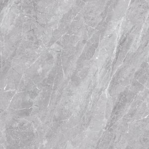 Polished Porcelain Tiles
