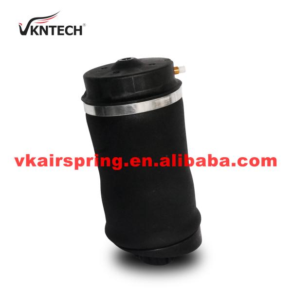 Заполненный газом воздушный балон с подвеской и подвеской 1S0425