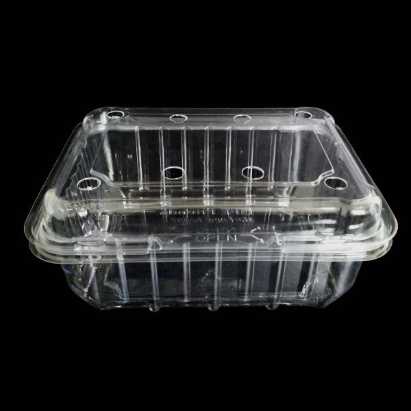 Empacotamento plástico 18cm claro biodegradável da salada do círculo de Tray Containers 7g