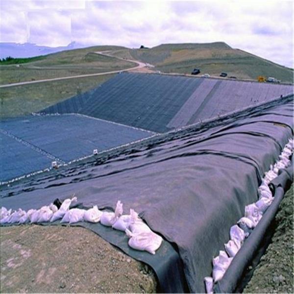 Textured Surface 0.75mm 1mm HDPE LDPE Geomembrane Pond Liner for Aquaculture Sample