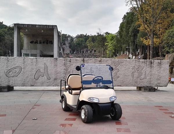 4 Wheel Mini Electric Car Golf Cart With 2 Rear Seats Powered By 48V Maintenance Batteries