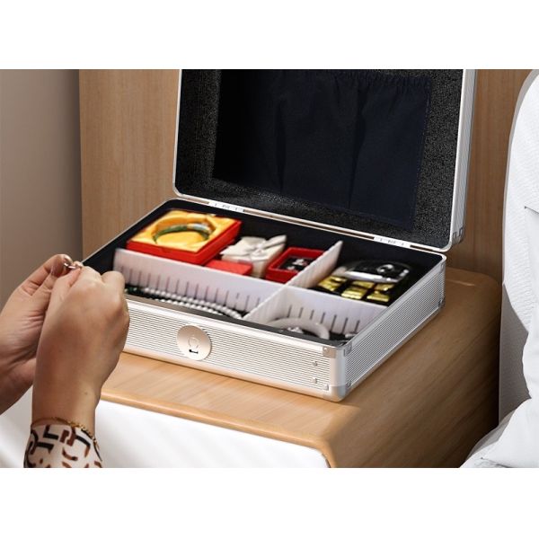 Key Storage Fingerprint Suitcase Safe Box Office & Home Document Jewelry Storage Padlock Rarlux S-S2