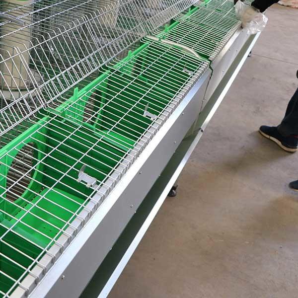 Baixa gaiola do coelho da série do dobro da taxa de mortalidade, acima dos coelhos dos bebês da série 50 - 80 nas gaiolas