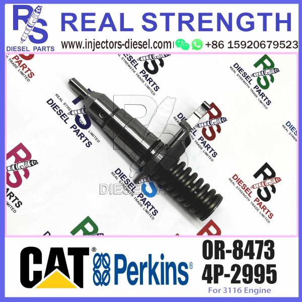Hot sale Diesel Fuel Injector 4P-2995 4P2995 6I3669 0R-8471 0R8471 0R8475 0R8473 0R-8475 0R-8473 For 3114/3116 Engine