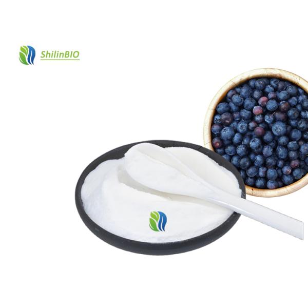 Blueberry Powder Bulk
