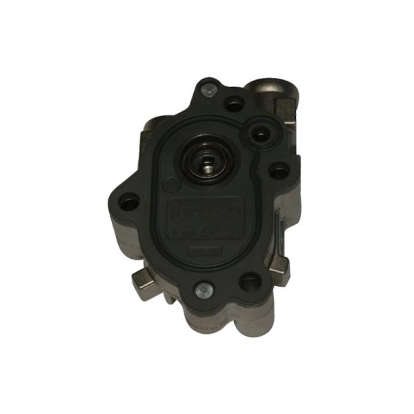 CUMMINS BOSCH DIESEL MP3 4988595 G21001111140A38 Para o pré-abastecimento de combustível de bombas de engrenagem