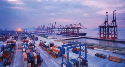 DDU DDP Delivery Service From China To All Over the World
