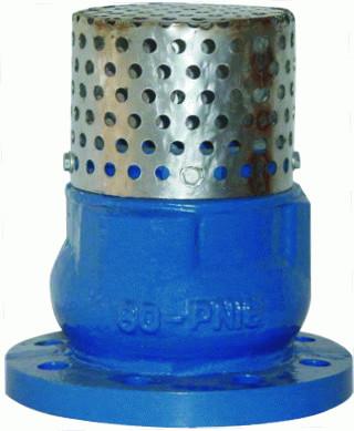 Low Pressure 4 Flanged Foot Valve , PN16 Oil Cast Iron Foot Valve