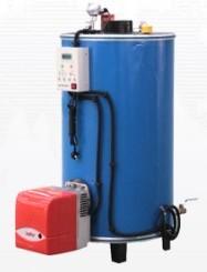 Vertical Gas Fired Hot Water 90% Small Steam Boiler For Hotel
