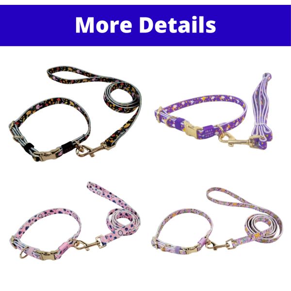 Durable Nylon Pet Collar And Leash Set Affordable Customizable Long-Lasting
