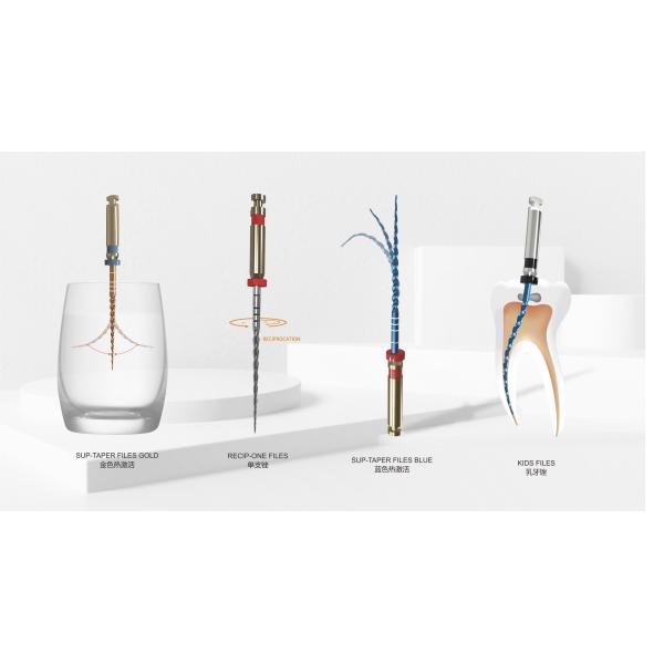 Dental Root Canal Files ISO Stainless Steel Dental File SS K Type