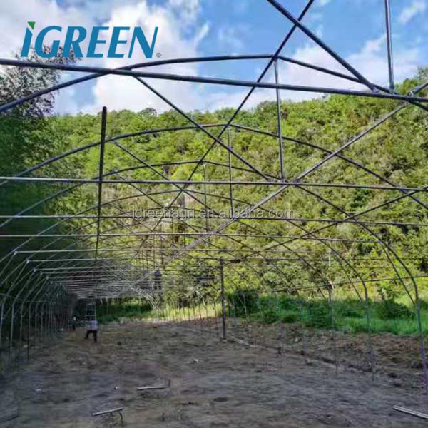 Steel Single-Span Small Greenhouse with PE Film Cover for Ducks or Chickens