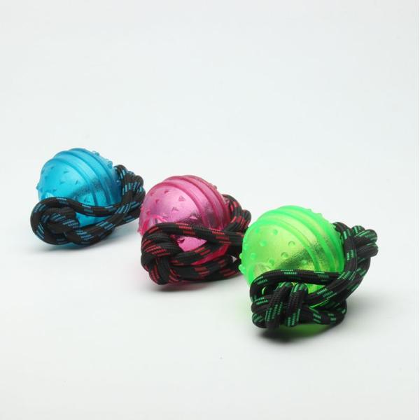 Lightweight Plastic Dog Ball With Rope Interactive Dog Toy For Heavy Chewers