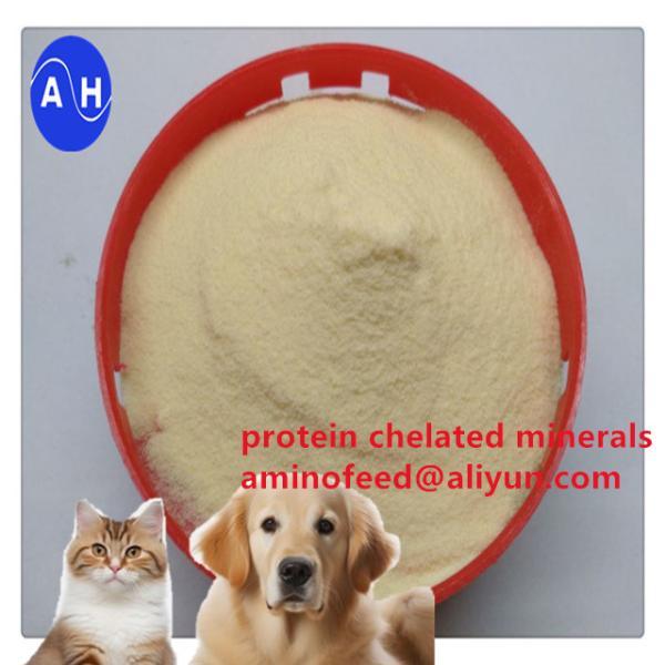 Organic Iron Proteinate 18% Feed Grade for Animal Nutrition
