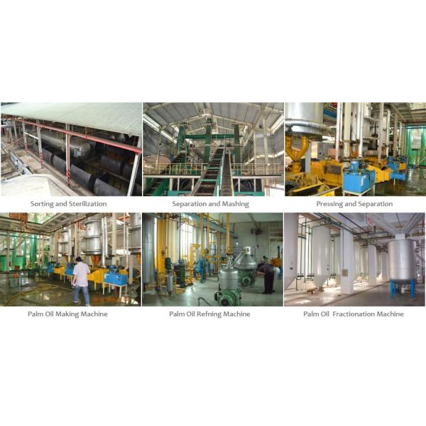 10-100TPD Palm Oil Refinery Cooking Oil Refinery Equipment List Edible Palm Oil Refinery Project Cost Depend on Capacity