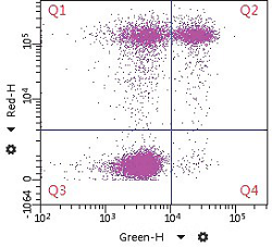 Наборы для проточной цитометрии спермы Набор PNA-FITC Probe Cytometry для окрашивания акросом сперматозоидов