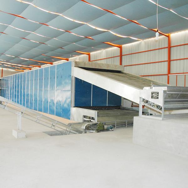 HengShou SGS Continuous Belt Dryer Cinnamon Orange Peel Drying Machine Wearproof