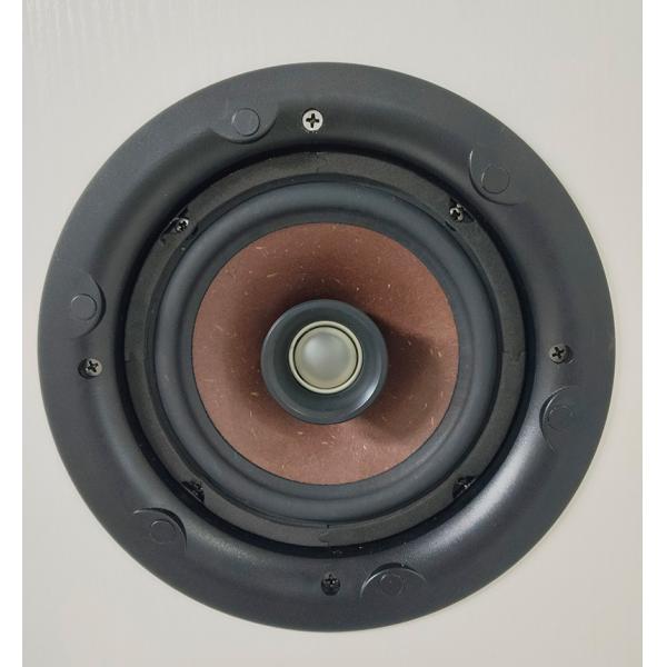 40W/20W/10W/5W 8-inch Coaxial Speaker Ceiling Speaker 100V/70V/8ohm Commercial Audio Iron Material OEM ODM