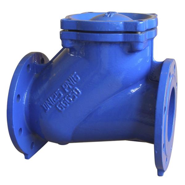 Stainless Steel Bolt API594 TFL Industrial Check Valves PN10 PN16