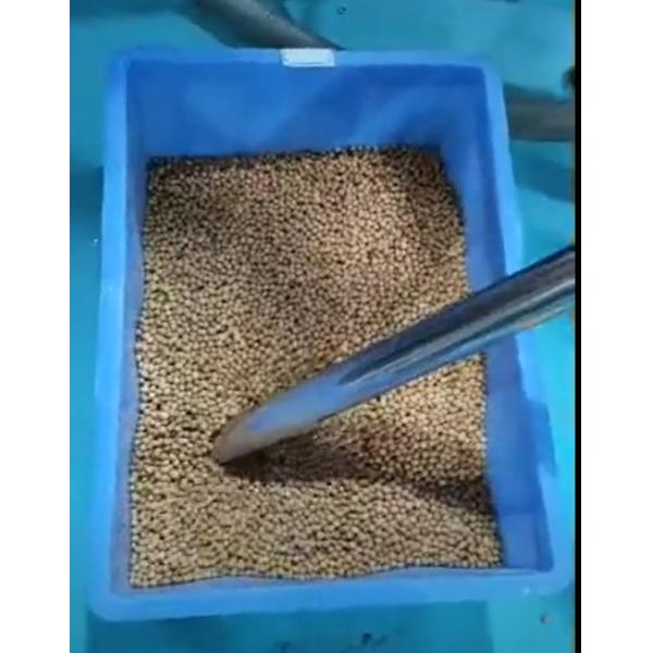 Умная небольшая машина упаковки еды закуски фасолей для ресторана