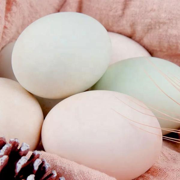 Salted Duck Egg Salted With Red Yolk Salted Duck Egg