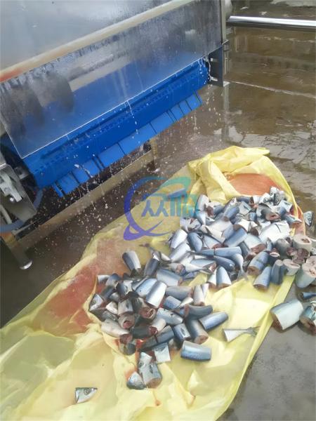 Máquina de corte de peixe de aço inoxidável 1.5KW 380V Anticorrosivo