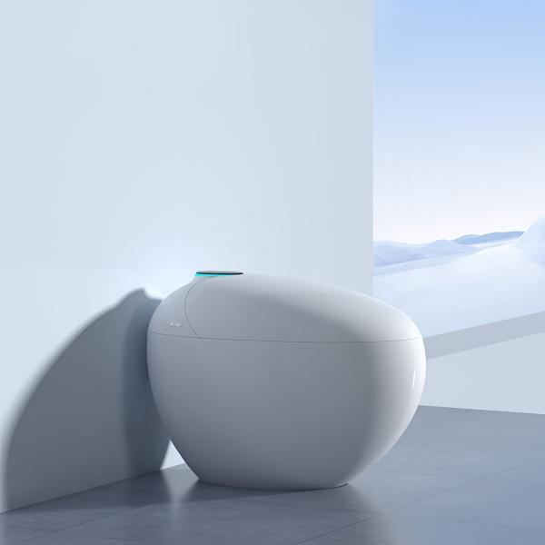 High Tech Smart Intelligent Toilet Night High Quality Ceramic Egg Shape Multi Editions