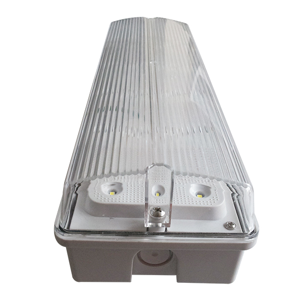 High Brightness SMD 2835 Waterproof Emergency Light IP65 Non Maintained EL015EN