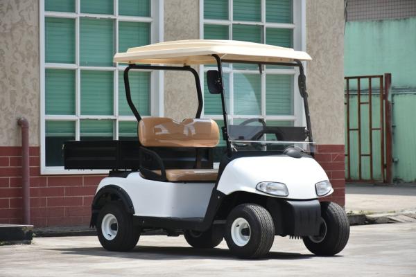 2 Seater Mini Car White Electric Utility Golf Carts Installed With Small Fans