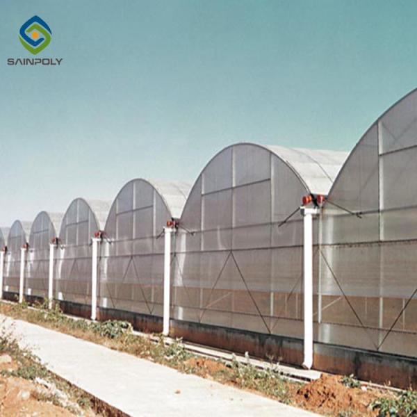 Agriculture Planting Large Plastic Film Multi Span Greenhouse 5.3m