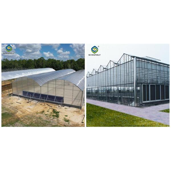 Agricultural Multispan Venlo Greenhouse Complete Hydroponic Nft Greenhouse