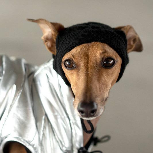 Y-Z Wholesale custom logo designer knitted adjustable winter warm funny dog skull hat