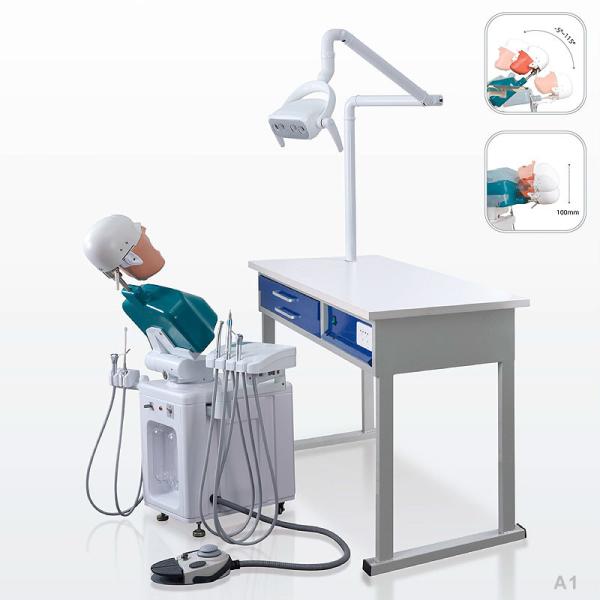 School Ultraportable Dental Phantom Head , Removable Dental Simulation Unit