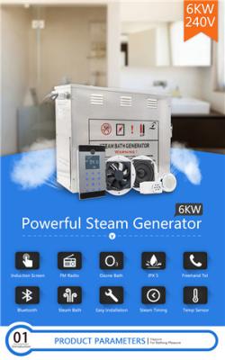 Anti Rusting Steam Bath Equipment / 6kw Steam Generator 304 Stainless Steel Material