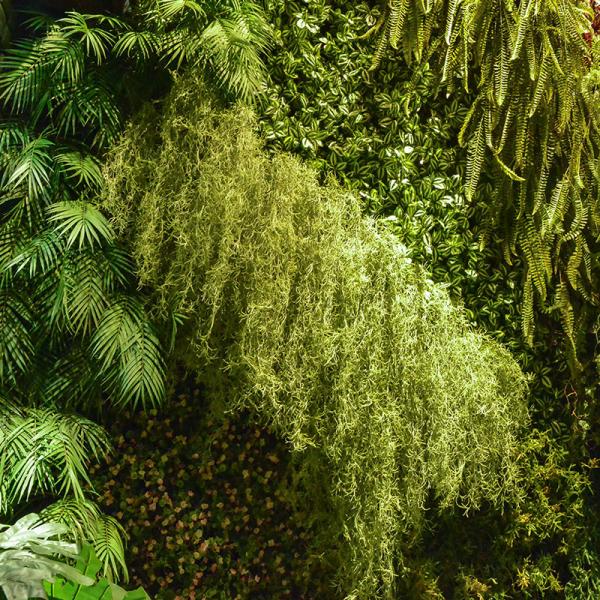 Anti esverdeamento vertical UV decorativo, parede artificial HAIHONG da planta