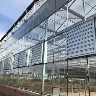 Soilless cultivation Commercial Venlo type multi span glass greenhouse 