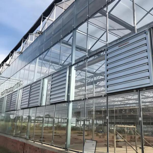 Galvanized Steel structure With Hydroponic Growing Systems Automated Intelligent Venlo stype greenhouse