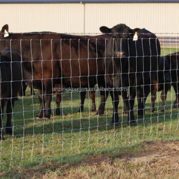 Galvanized Hinge Joint Fence For Farming And Livestock Protection In Any Climate