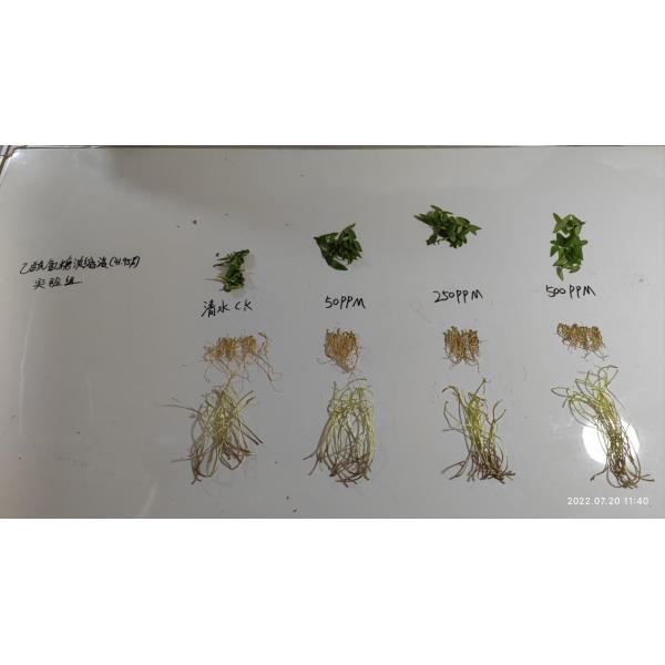 Poudre de N-acétyl-D-glucosamine brune Agriculture Dosage engrais organique