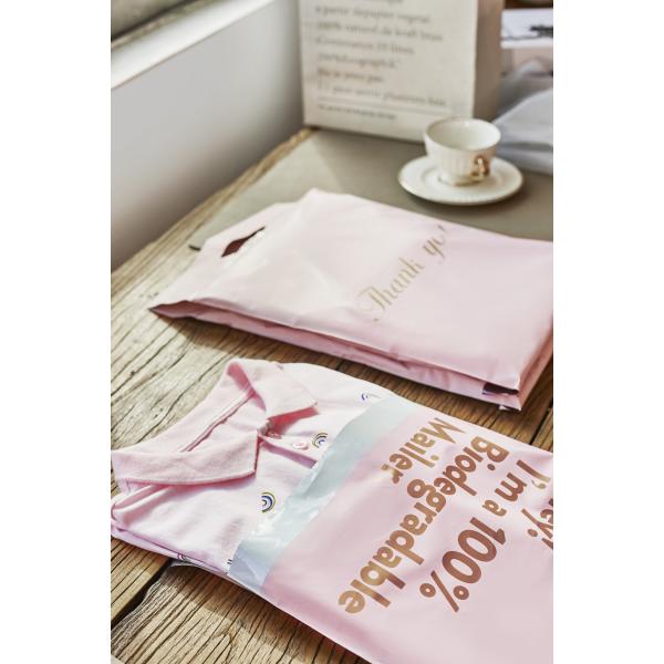 Пинк штейновое поли прилипатель собственной личности обруча пузырь отправитель 19x24»