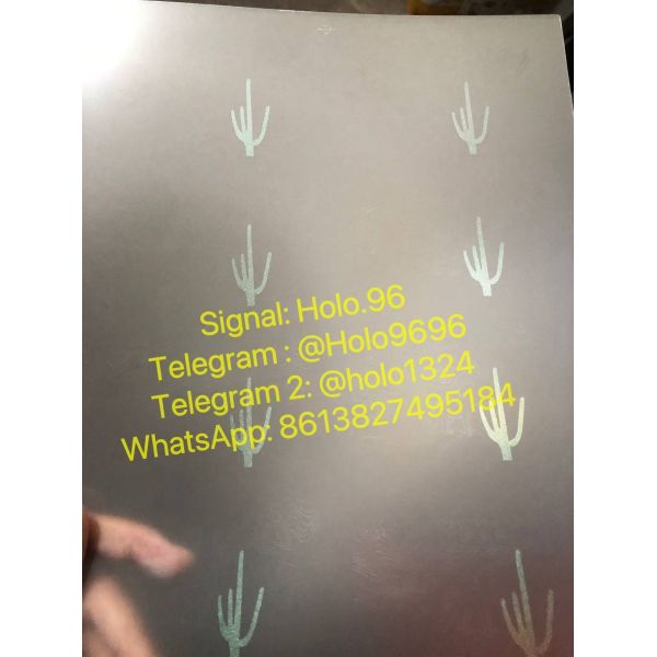 Ohio VA AZ ID overlay Ohio state overlay hologram