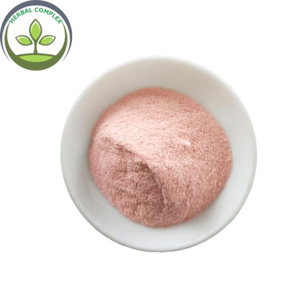 strawberry friut juice powder buy best spray dried strawberry health benefits for baking strawberry flavor powder