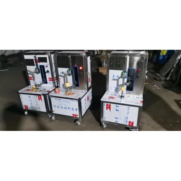 mango juice processing machine