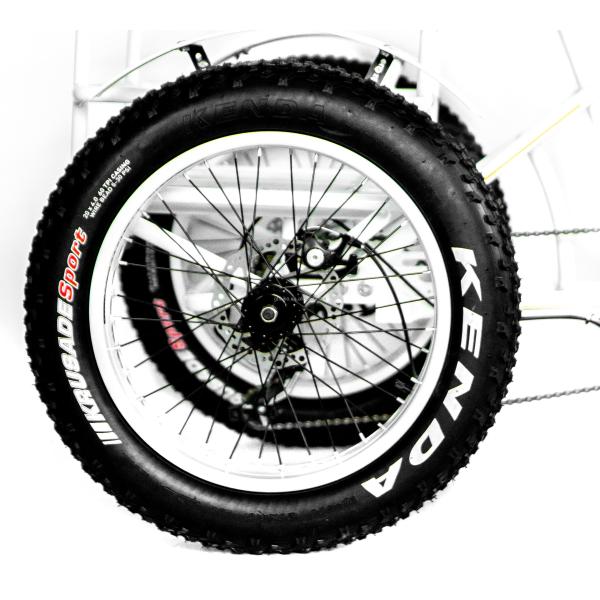 48V 14AH Rear Basket 4.0 Snow Tire Electric Cargo Tricycle with USA CE Certification